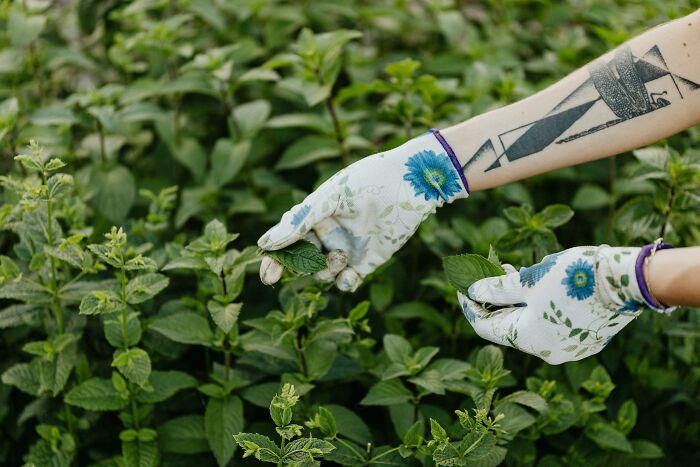 Person wearing floral gloves picking leaves from green plants, illustrating things people used to spend hours doing pointlessly.