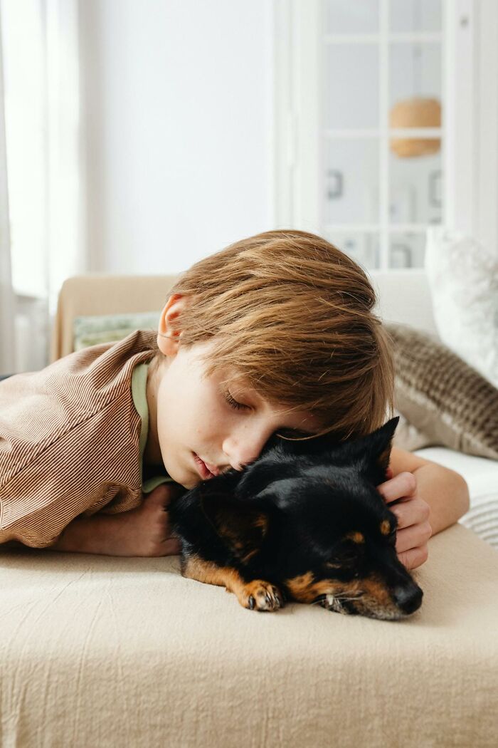 Young boy lying on a couch with his dog, capturing a tender moment of comfort and calm home alone atmosphere.