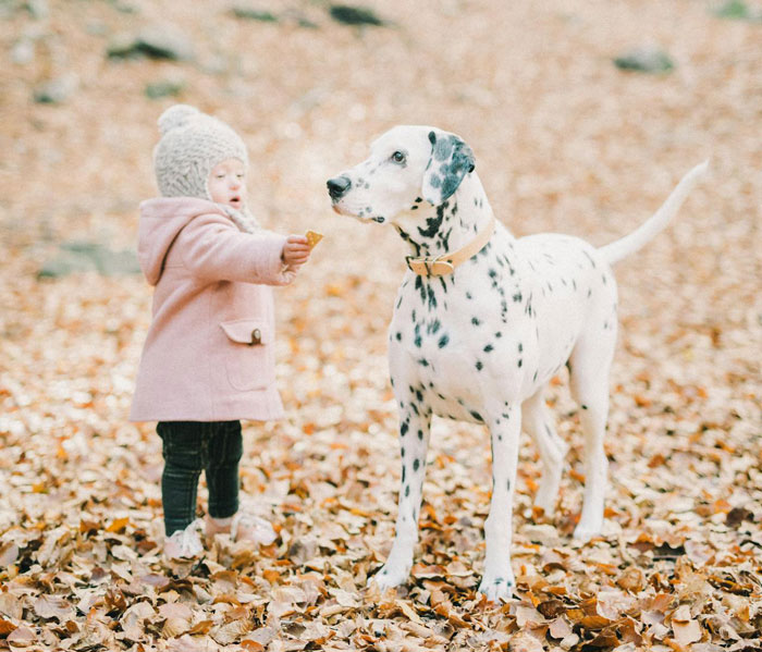 Person Goes No Contact With MIL And FIL After They Said They Were Thinking On Calling CPS