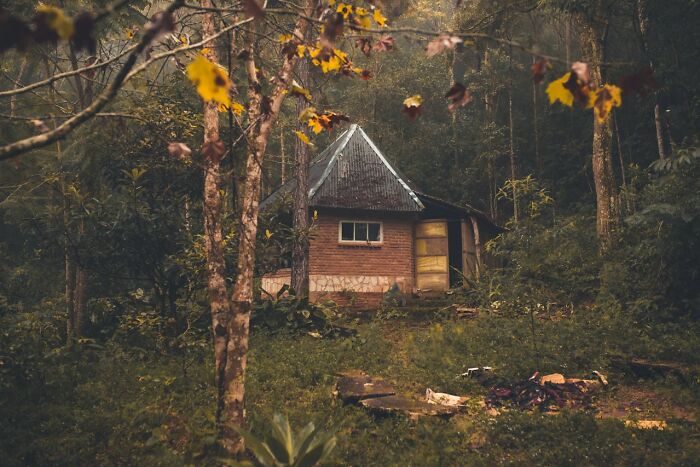 Small cabin in the dark woods surrounded by dense trees, perfect setting for creepy stories by a campfire.