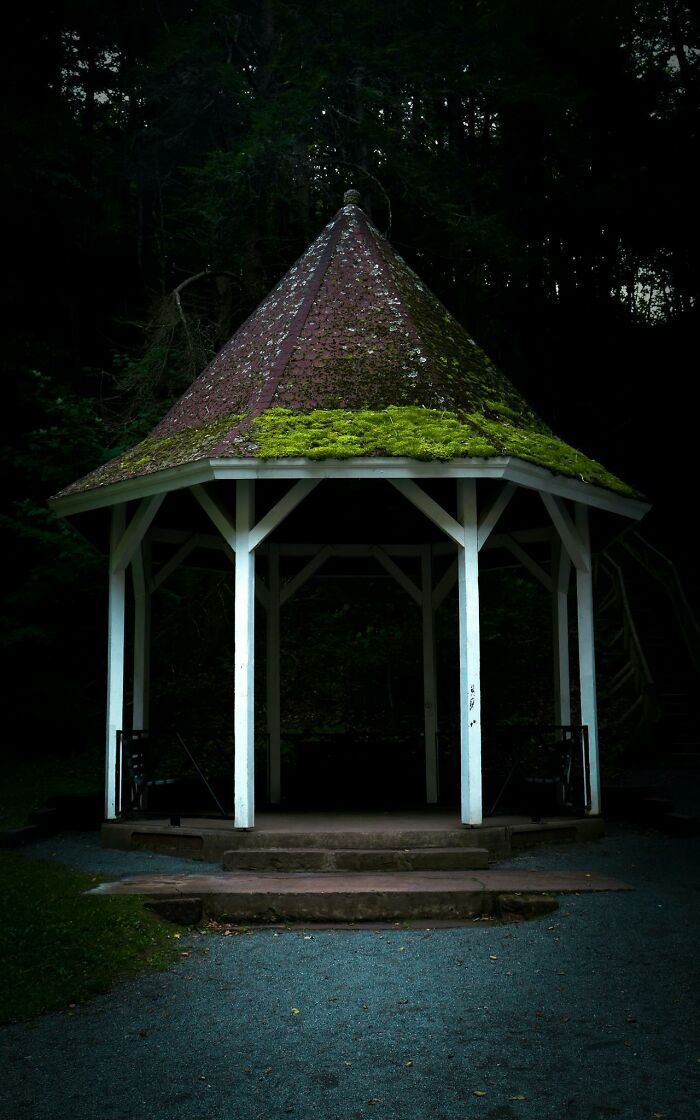 Old gazebo with mossy roof in a dark forest setting, evoking moments that made you say yep I'm definitely dead but survived.