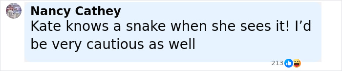 Comment from Nancy Cathey expressing caution about Kate Middleton in a discussion on body language expert analysis. Comment from Nancy Cathey expressing caution about Kate Middleton in a discussion on body language expert analysis.