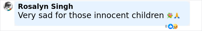 Facebook comment expressing sadness for innocent children, related to body of influencer Esmeralda Ferrer Garibay case. Facebook comment expressing sadness for innocent children, related to body of influencer Esmeralda Ferrer Garibay case.
