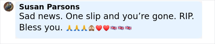 Comment expressing sadness and condolences after trapeze artist loses life during circus stunt in front of stunned families.