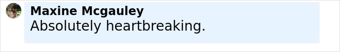 Comment by Maxine Mcgauley saying Absolutely heartbreaking with a profile picture of a woman, related to trapeze artist loses life circus stunt news.