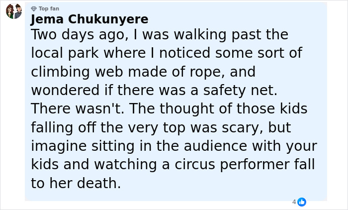 Comment text describing a trapeze artist's fatal accident during a circus stunt witnessed by families in the audience.