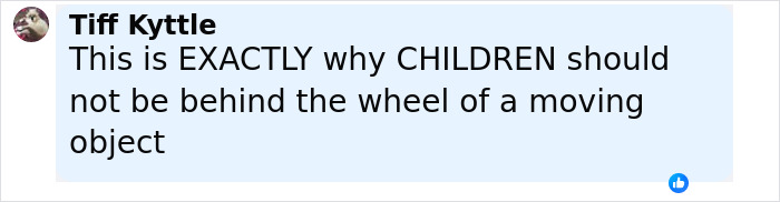 Comment by Tiff Kyttle warning children should not be behind the wheel of a moving object amid viral TikTok trend injuries.