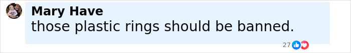 Comment saying those plastic rings should be banned, highlighting plastic pollution and turtle rescue awareness. Comment saying those plastic rings should be banned, highlighting plastic pollution and turtle rescue awareness.