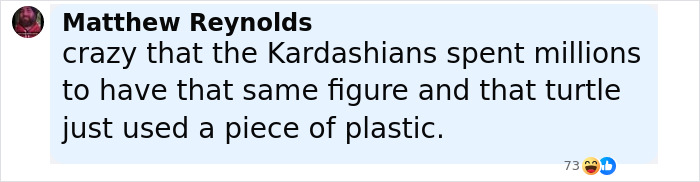 Comment by Matthew Reynolds discussing turtles and plastic, referencing the rescued turtle Peanut thriving at 41. Comment by Matthew Reynolds discussing turtles and plastic, referencing the rescued turtle Peanut thriving at 41.