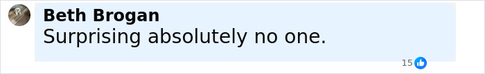 Comment by Beth Brogan saying surprising absolutely no one with 15 likes in a social media post.