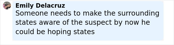 Comment from Emily Delacruz discussing the need to alert surrounding states about the suspect's possible escape route.