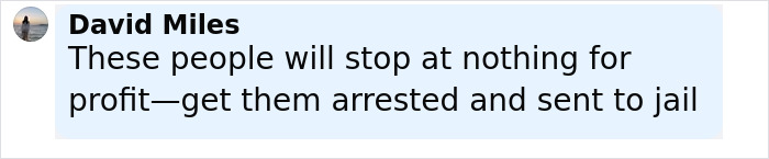 Comment by David Miles expressing outrage over a man committing a horrific act on a sea lion in California.