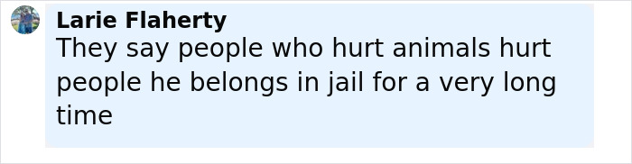 Comment from Larie Flaherty stating that people who hurt animals hurt others and deserve jail time, related to sea lion abuse reward case.