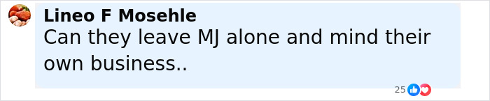 Comment from Lineo F Mosehle expressing frustration about people not leaving Michael Jackson alone and minding their own business.