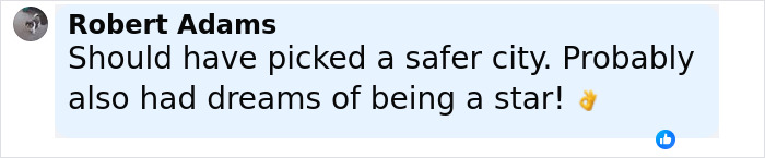 Facebook comment from Robert Adams discussing safety and dreams of stardom related to American nightmare online marriage case.