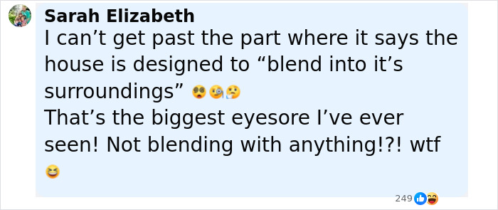 Screenshot of a social media comment discussing the invisible house and an influencer charged $10,000 for a selfie.