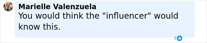 Comment by Marielle Valenzuela discussing influencer and Airbnb owners charging $10,000 for selfie inside famous Invisible House.