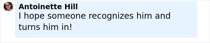 Comment from Antoinette Hill hoping someone recognizes the man involved in a horrific act on a sea lion in California.