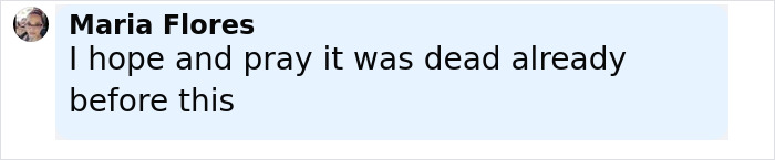 Comment by Maria Flores expressing hope that the sea lion was already dead before the horrific act in California.