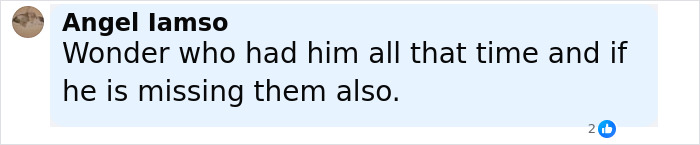 Comment on social media about a family reunited with their beloved cat after nearly a decade.