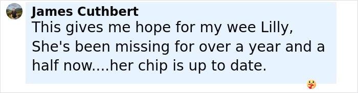 Comment from James Cuthbert expressing hope for his missing cat Lilly, relating to family reunited with beloved cat after nearly a decade.
