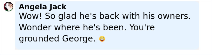 Comment from Angela Jack expressing joy about family reunited with beloved cat after nearly a decade.