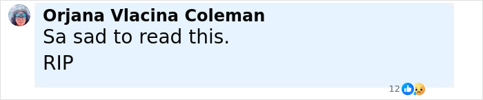 "So Shocking And Awful": Husband Swaps Seats With Wife And Loses Life In Lisbon Crash