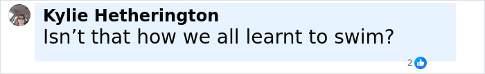 Image of a social media comment reading Isn’t that how we all learnt to swim in a light blue text box. Image of a social media comment reading Isn’t that how we all learnt to swim in a light blue text box.