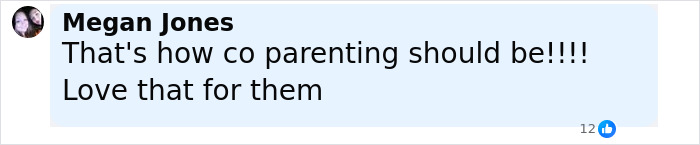 User comment on social media post expressing support for co-parenting with a light blue background and black bold username.