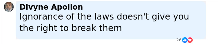 Comment by Divyne Apollon stating ignorance of laws doesn't justify breaking them in a social media post about Dubai student jailed. Comment by Divyne Apollon stating ignorance of laws doesn't justify breaking them in a social media post about Dubai student jailed.