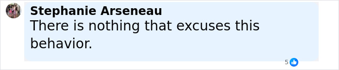 Comment from Stephanie Arseneau expressing disapproval related to autopsy findings revealing gender of newborn found in cheerleader's closet.