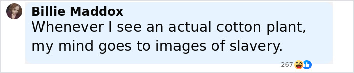 Comment by Billie Maddox expressing a reaction about cotton plants linked to images of slavery in a social media post. Comment by Billie Maddox expressing a reaction about cotton plants linked to images of slavery in a social media post.