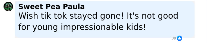 Facebook comment from Sweet Pea Paula warning about TikTok&rsquo;s negative impact on young impressionable kids.