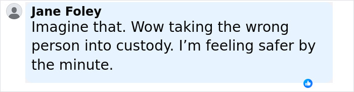 Comment from Jane Foley expressing concern about wrongful custody and safety amid ongoing manhunt for culprit. Comment from Jane Foley expressing concern about wrongful custody and safety amid ongoing manhunt for culprit.