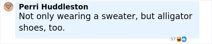 Screenshot of a social media comment about alligator shoes, related to an emotional support alligator shopping incident.