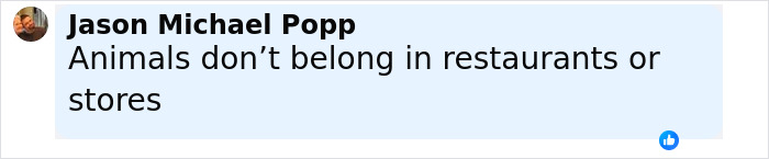 Comment from Jason Michael Popp stating animals don&rsquo;t belong in restaurants or stores, discussing emotional support alligator ban.
