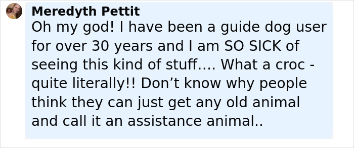 Comment from Meredyth Pettit expressing frustration about emotional support animals and assistance animal rules.