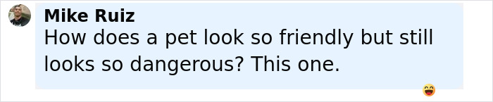 Comment from Mike Ruiz questioning how a pet can appear both friendly and dangerous, accompanied by a smiling emoji.