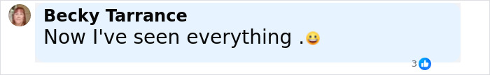 Facebook comment from Becky Tarrance saying Now I've seen everything with a smiling emoji reacting to the emotional support alligator Walmart story.