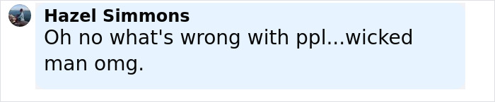 Comment by Hazel Simmons expressing shock about a wicked man, related to flight attendant&rsquo;s mysterious disappearance.