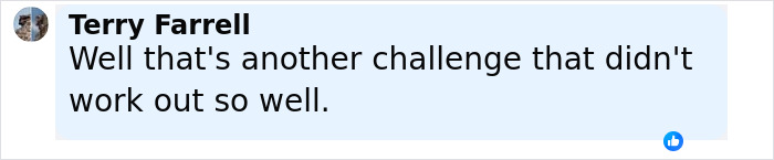 Comment from Terry Farrell expressing disappointment about a challenge, related to viral TikTok trend with severe injuries.