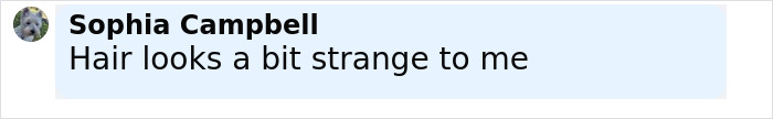 Comment saying hair looks strange, highlighting discussion about Kate Middleton's blonde hair and Princess Diana's hairdresser criticizing trolls. Comment saying hair looks strange, highlighting discussion about Kate Middleton's blonde hair and Princess Diana's hairdresser criticizing trolls.