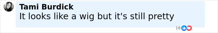 Screenshot of a comment by Tami Burdick saying it looks like a wig but is still pretty, relating to Kate Middleton blonde hair. Screenshot of a comment by Tami Burdick saying it looks like a wig but is still pretty, relating to Kate Middleton blonde hair.