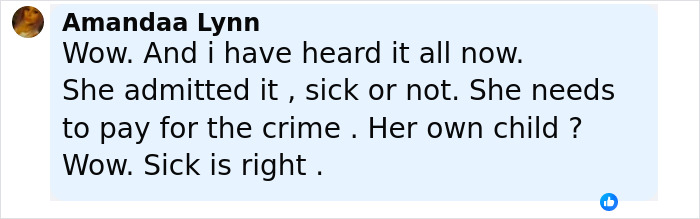 Screenshot of a social media comment reacting to an unhinged Amish mom&rsquo;s chilling confession after drowning her 4YO son.