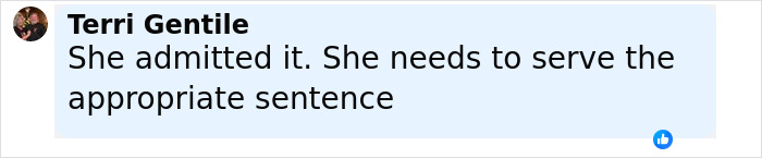 Facebook comment from Terri Gentile saying she admitted it and needs to serve an appropriate sentence about unhinged Amish mom case.