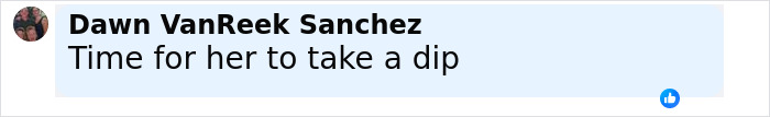 Comment from Dawn VanReek Sanchez saying Time for her to take a dip related to unhinged Amish mom's chilling confession after drowning 4YO son.