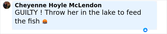 Facebook comment by Cheyenne Hoyle McLendon reacting to an unhinged Amish mom&rsquo;s chilling confession after drowning 4YO son.