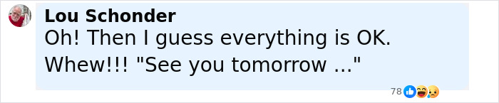 Screenshot of a social media comment by Lou Schonder reacting to a news host's controversial statement on live TV. Screenshot of a social media comment by Lou Schonder reacting to a news host's controversial statement on live TV.