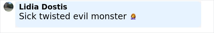 Screenshot of a social media comment by Lidia Dostis reacting with strong disapproval.