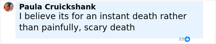 Comment by Paula Cruickshank discussing instant death versus painful death in the context of a chilling plane crash simulation. Comment by Paula Cruickshank discussing instant death versus painful death in the context of a chilling plane crash simulation.